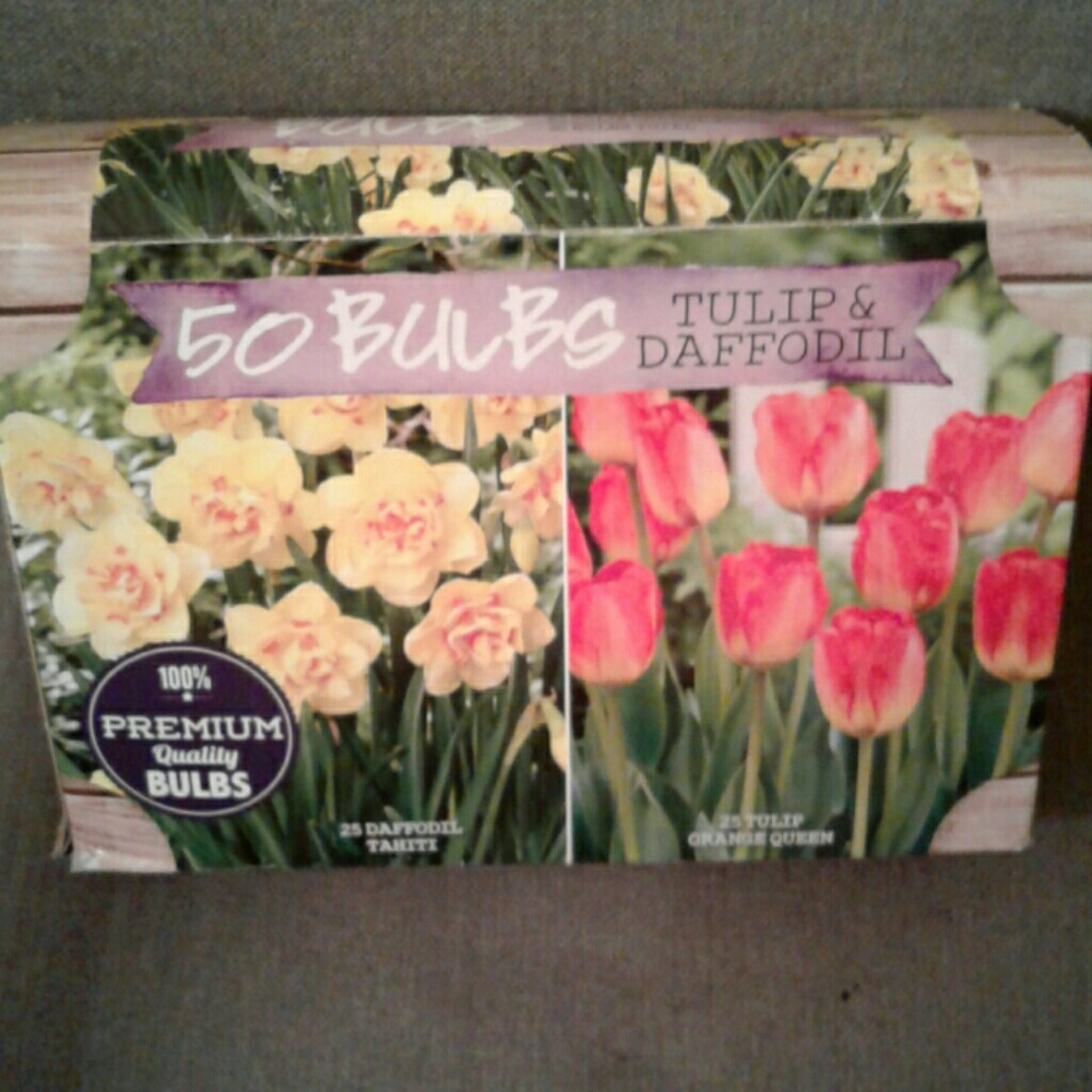 Flower bulbs